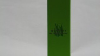 אנה לוטן סדרה ירוקה פרולין קרם מיצוק 125 מ"ל